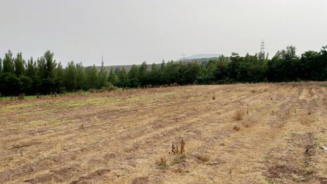 大量土地面临“荒废”，粮食无人种植，未来吃饭都将成为“难题”